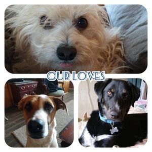 Meet your Posher, Deanna